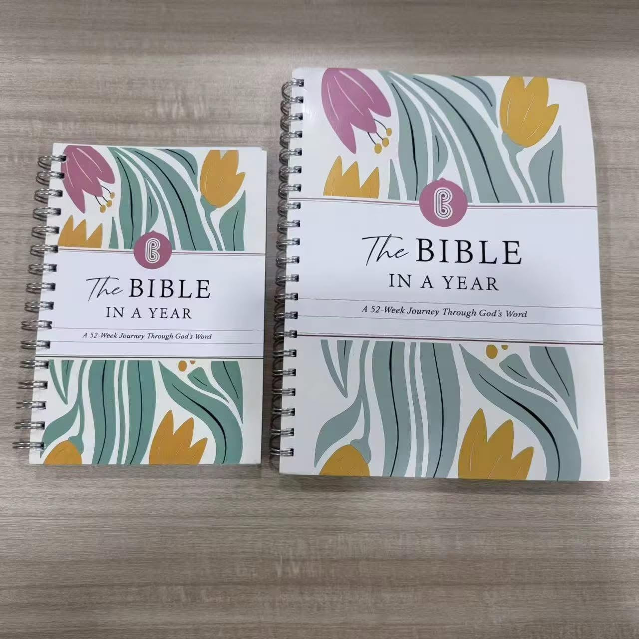 Bible In A Year - Small