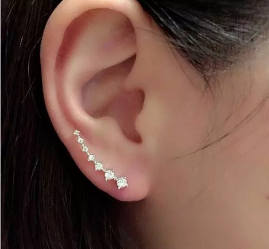 Ear Crawler Earrings