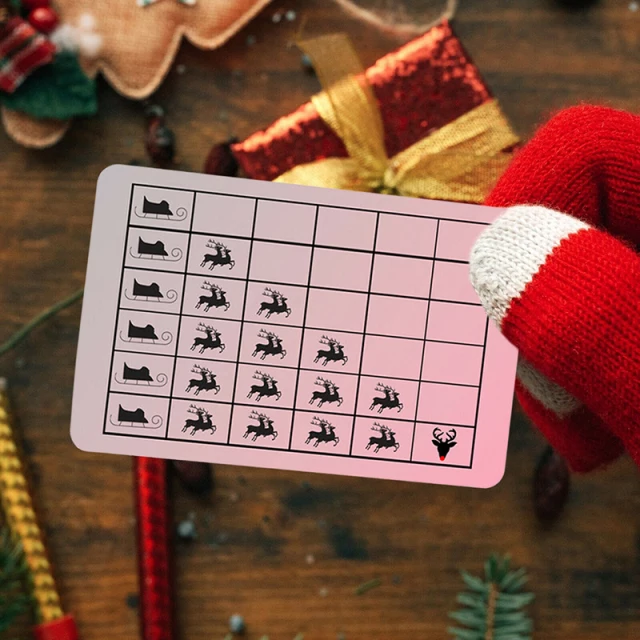 Santa's Flying License