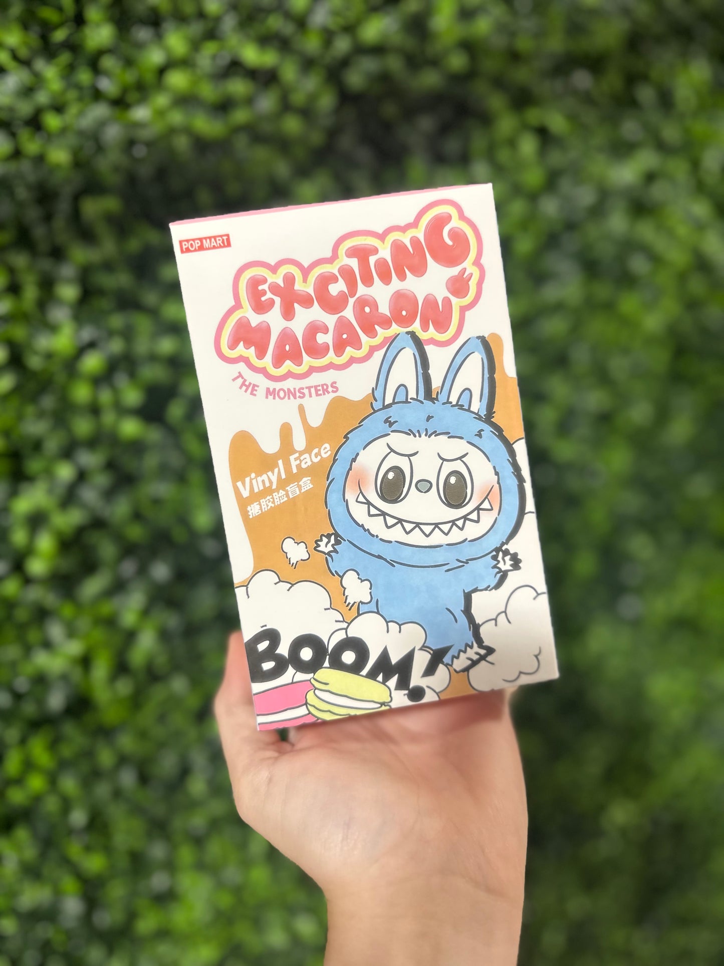 Exciting Macaron Lafufu